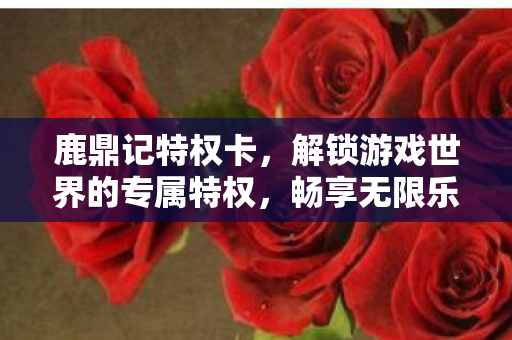 解锁游戏世界的专属特权图片