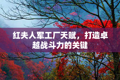 打造卓越战斗力的关键图片