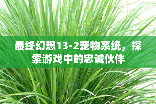 最终幻想13-2宠物系统,探索游戏中的忠诚伙伴 最终幻想13-2宠物系统,探索游戏中的忠诚伙伴