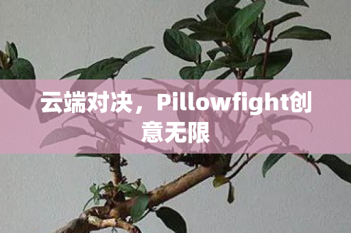 Pillowfight创意无限图片
