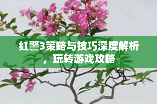 红警3策略与技巧深度解析图片
