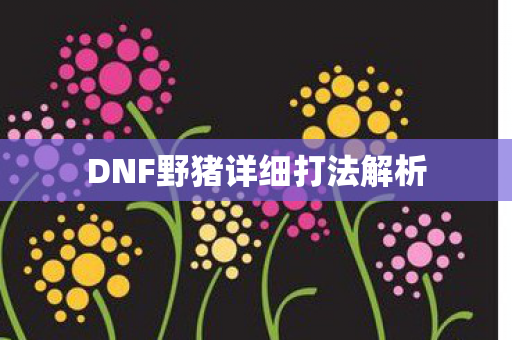 DNF野猪详细打法解析图片