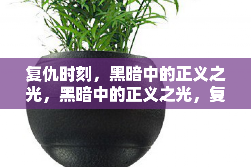 黑暗中的正义之光图片
