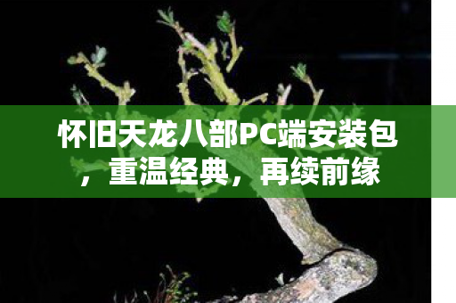 怀旧天龙八部PC端安装包图片