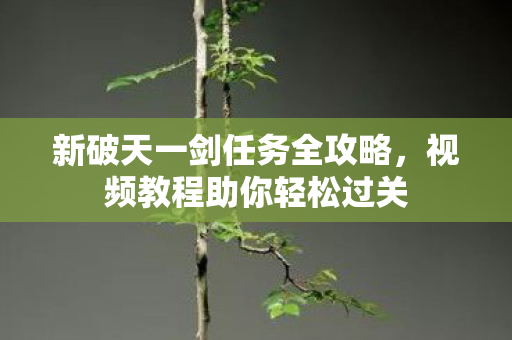 新破天一剑任务全攻略图片