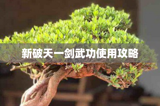 新破天一剑武功使用攻略图片