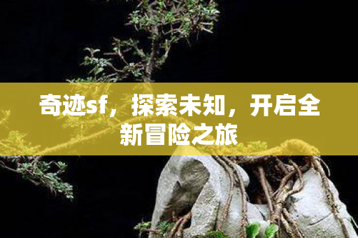 开启全新冒险之旅图片