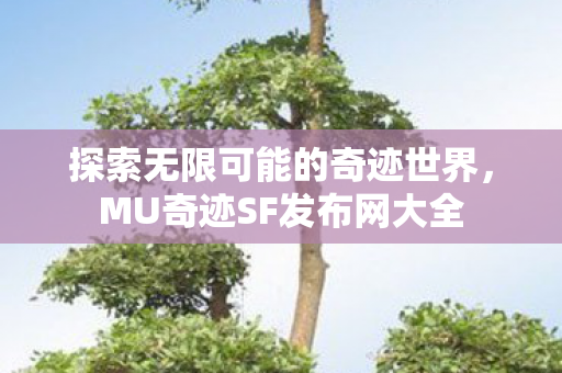 探索无限可能的奇迹世界图片