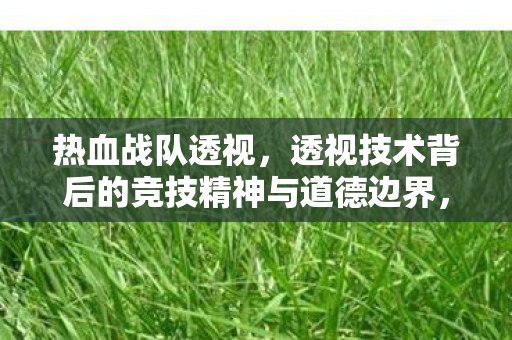 透视技术背后的竞技精神与道德边界图片