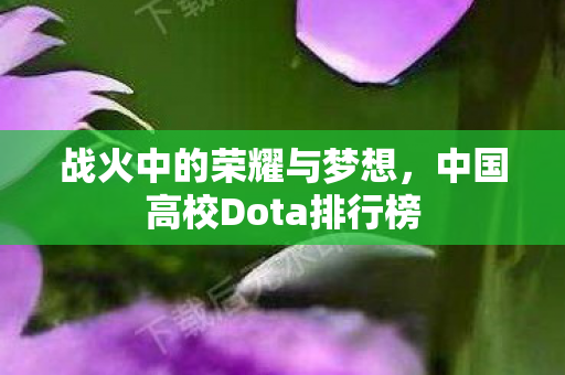 中国高校Dota排行榜图片