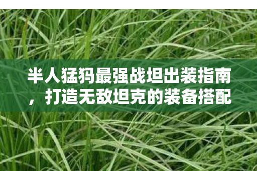 半人猛犸最强战坦出装指南图片