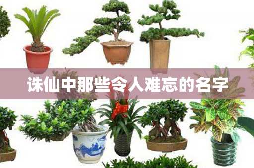 诛仙中那些令人难忘的名字图片