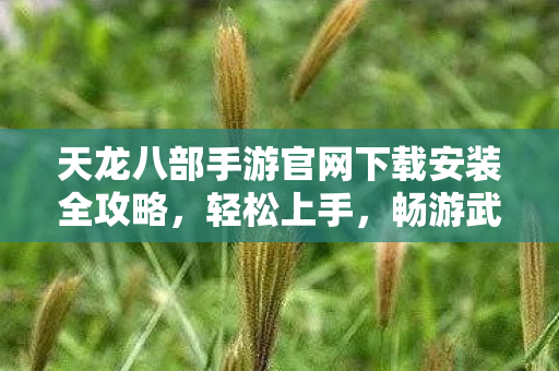 天龙八部手游官网下载安装全攻略图片