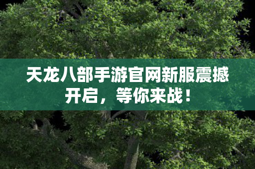 天龙八部手游官网新服震撼开启图片