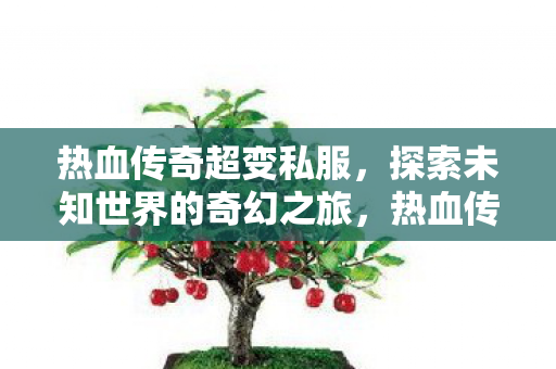 探索未知世界的奇幻之旅图片