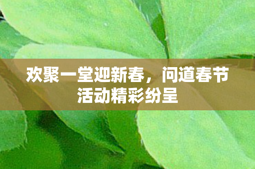 问道春节活动精彩纷呈图片