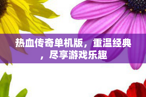 热血传奇单机版图片