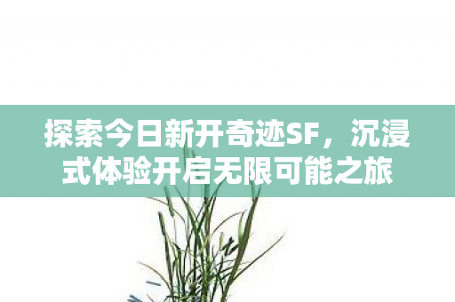 沉浸式体验开启无限可能之旅图片