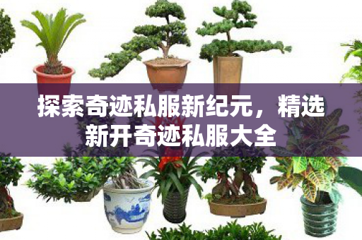 精选新开奇迹私服大全图片