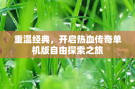 开启热血传奇单机版自由探索之旅图片