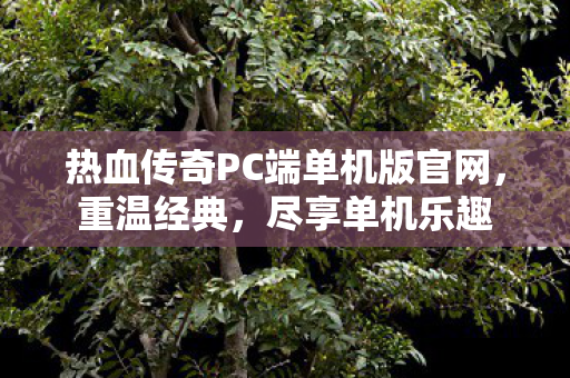 热血传奇PC端单机版官网图片