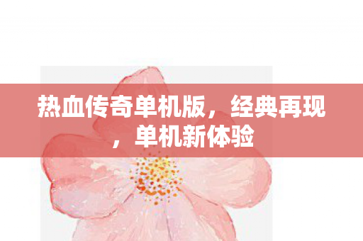 热血传奇单机版图片