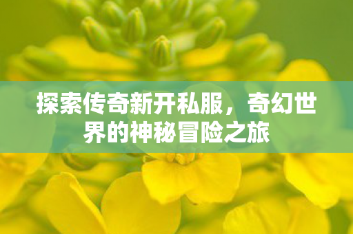 奇幻世界的神秘冒险之旅图片