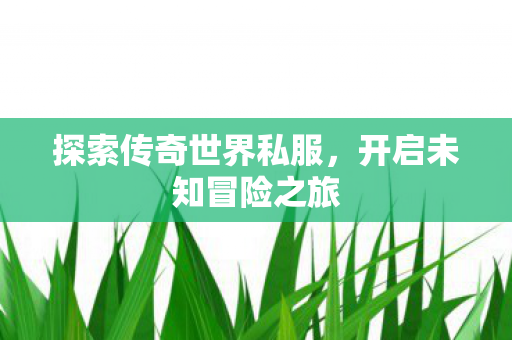 探索传奇世界私服图片