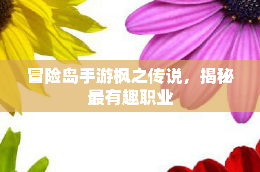冒险岛手游枫之传说图片