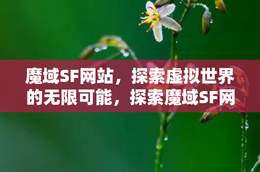 探索魔域SF网站的虚拟世界之旅图片