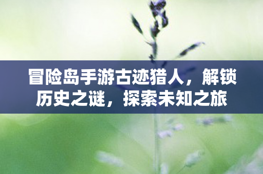 冒险岛手游古迹猎人图片