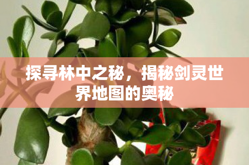 揭秘剑灵世界地图的奥秘图片