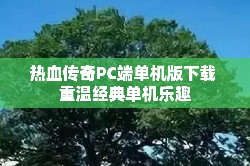 热血传奇PC端单机版下载 重温经典单机乐趣图片