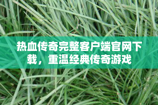 热血传奇完整客户端官网下载图片