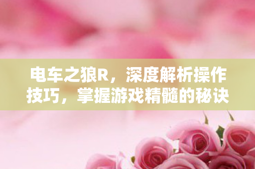 掌握游戏精髓的秘诀图片