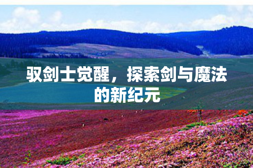 探索剑与魔法的新纪元图片