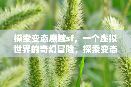 一个虚拟世界的奇幻冒险图片