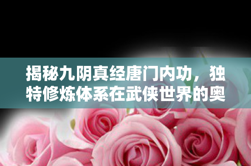 独特修炼体系在武侠世界的奥秘图片