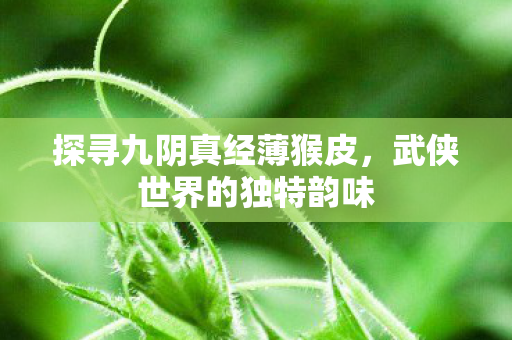 探寻九阴真经薄猴皮图片