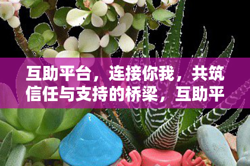 共筑信任与支持的桥梁图片