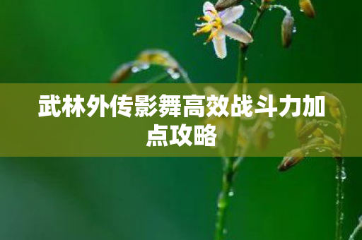 武林外传影舞高效战斗力加点攻略图片