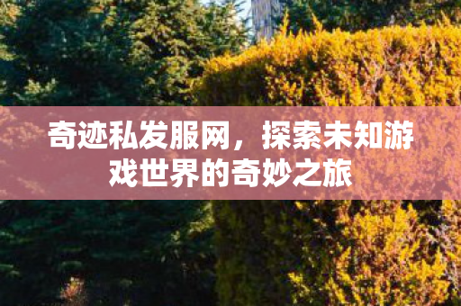 探索未知游戏世界的奇妙之旅图片