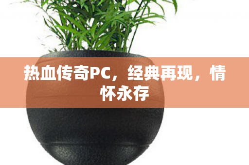 热血传奇PC图片