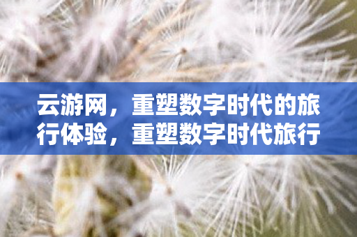 云游网,重塑数字时代的旅行体验,重塑数字时代旅行体验,云游网引领新风尚 云游网,重塑数字时代的旅行体验,重塑数字时代旅行体验,云游网引领新风尚