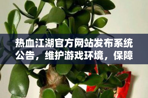 热血江湖官方网站发布系统公告图片