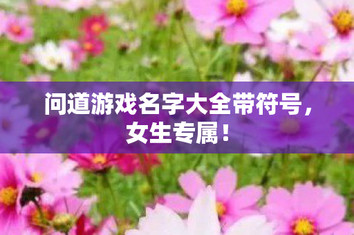 问道游戏名字大全带符号图片