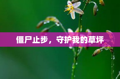 守护我的草坪图片