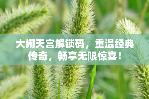 大闹天宫解锁码图片