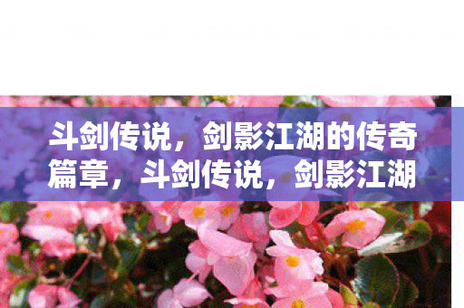 斗剑传说，剑影江湖的传奇篇章，斗剑传说，剑影江湖的传奇篇章