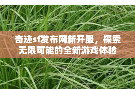 探索无限可能的全新游戏体验图片